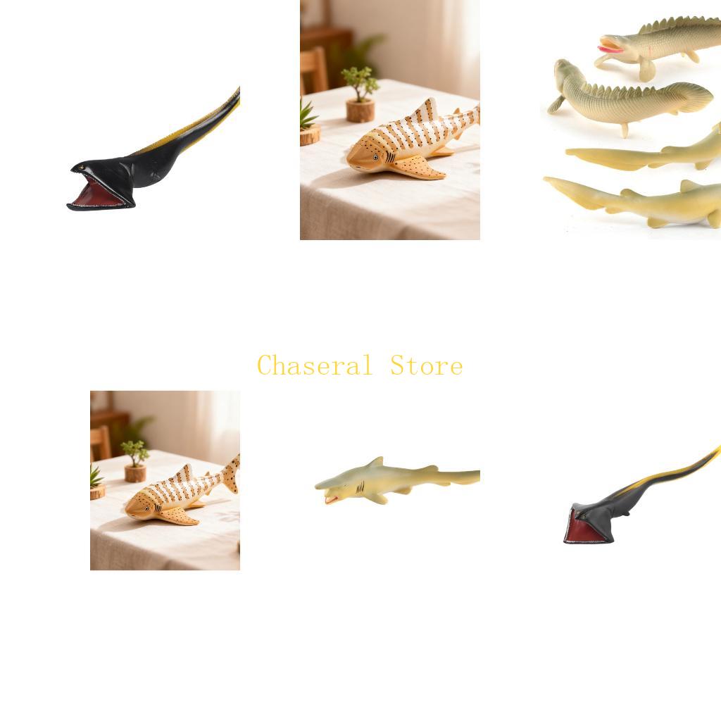 Science Exhibition Models - E7CE 魚のおもちゃ 動物愛好家のための本物のウツボ動物 バイオ教師