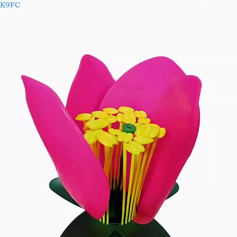 K9FC 科学展示用現実的な植物教育モデル中学校生物学デモン - Science Exhibition Models のレビューと価格