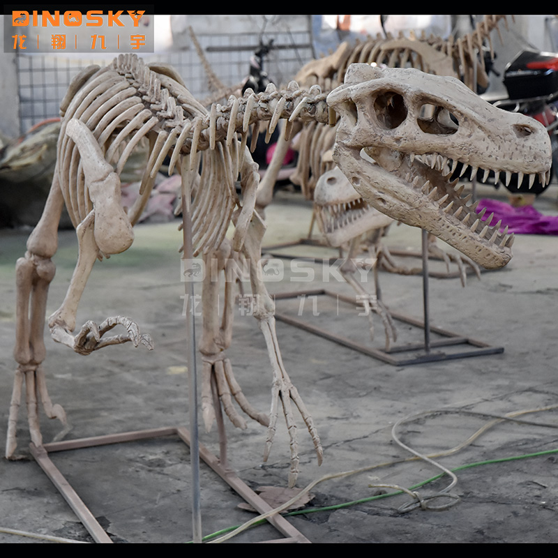 ATV&UTV樹脂製ラプタースケルトン化石恐竜模型（展示用、 - Science Exhibition Models のレビューと価格
